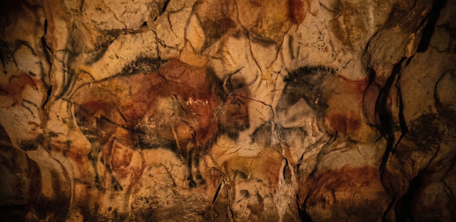 cave painting coming into focus